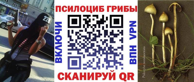 omg tor  купить наркотики сайты  Слободской  Псилоцибиновые грибы GOLDEN TEACHER 
