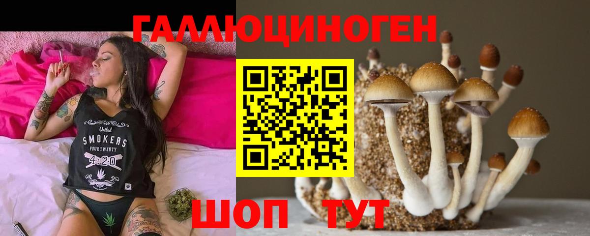 Галлюциногенные грибы Magic Shrooms  Вход с VPN  Галлюциногенные грибы Magic Shrooms  Слободской 